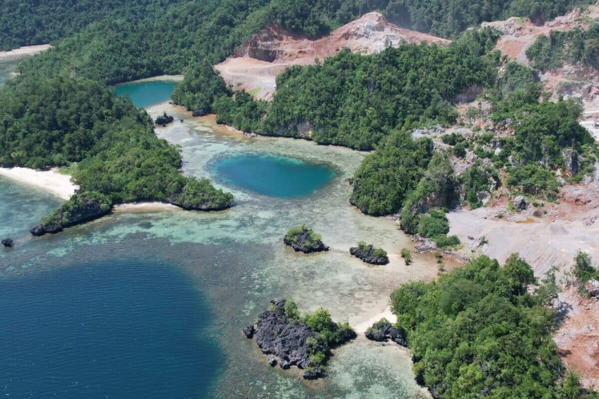 Marine conservation collides with mining in Indonesia&rsquo;s biodiversity-rich Moramo Bay